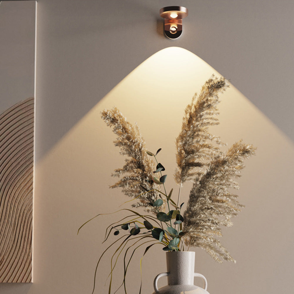 Rotating Picture Light for Wall with 3 Light Modes Rechargeable Wall Lamp for Home