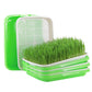 5 Pack Seed Sprouter Trays for Microgreens Soil-Free Growing with Drain Holes