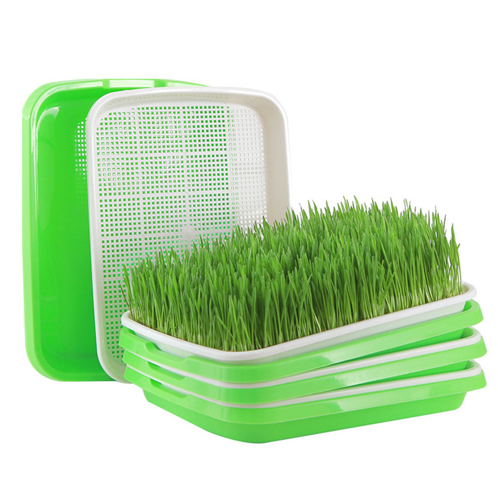 5 Pack Seed Sprouter Trays for Microgreens Soil-Free Growing with Drain Holes