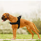 Breathable Mesh Padded Dog Harness No-Pull Vest