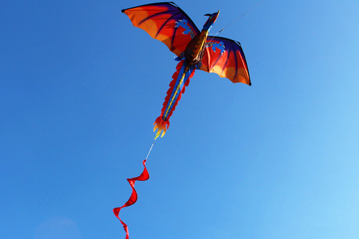 2X Outdoor Colorful 3D Dragon Flying Kite with 100m Tail Line 1.4m