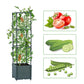 3Tiers Raised Planter Boxes with Trellis for Climbing Vegetable Plants