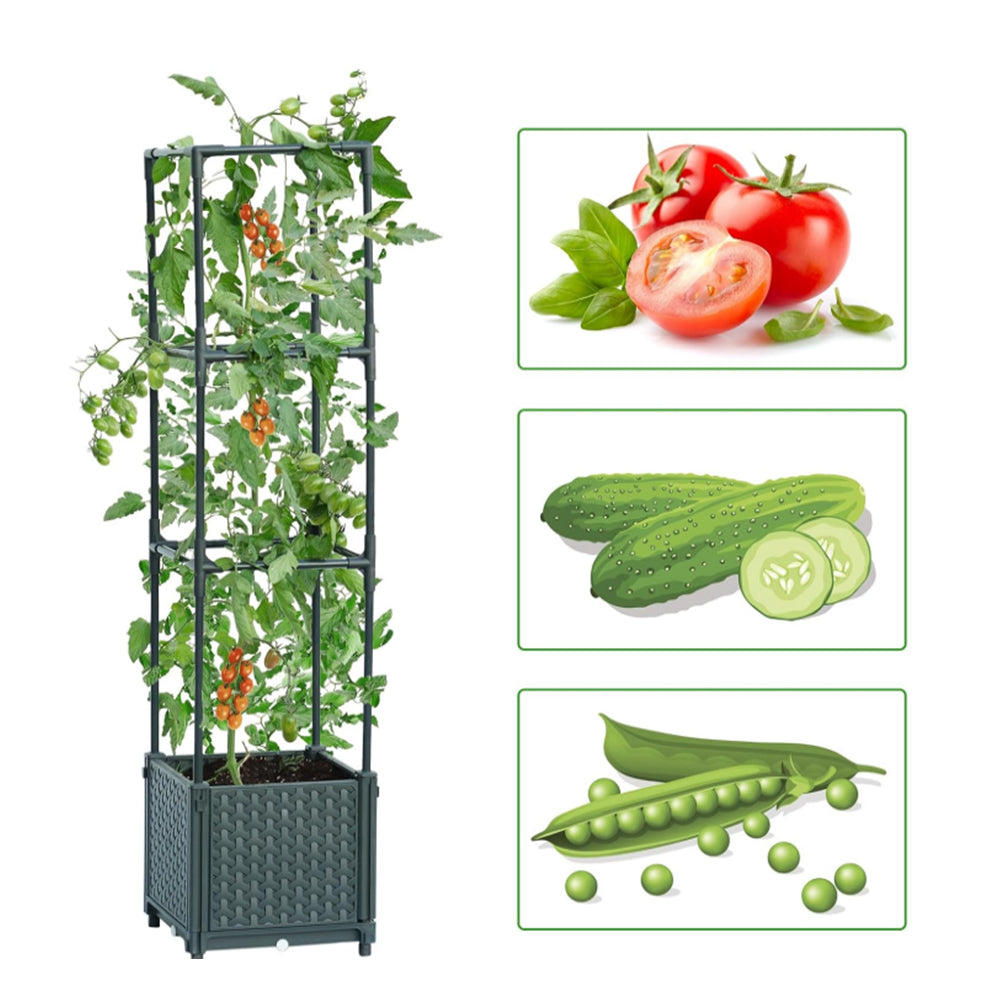 3Tiers Raised Planter Boxes with Trellis for Climbing Vegetable Plants