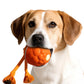 Interactive Dog Toys Touch Activated Bouncing And Jumping Dog Ball With Rope