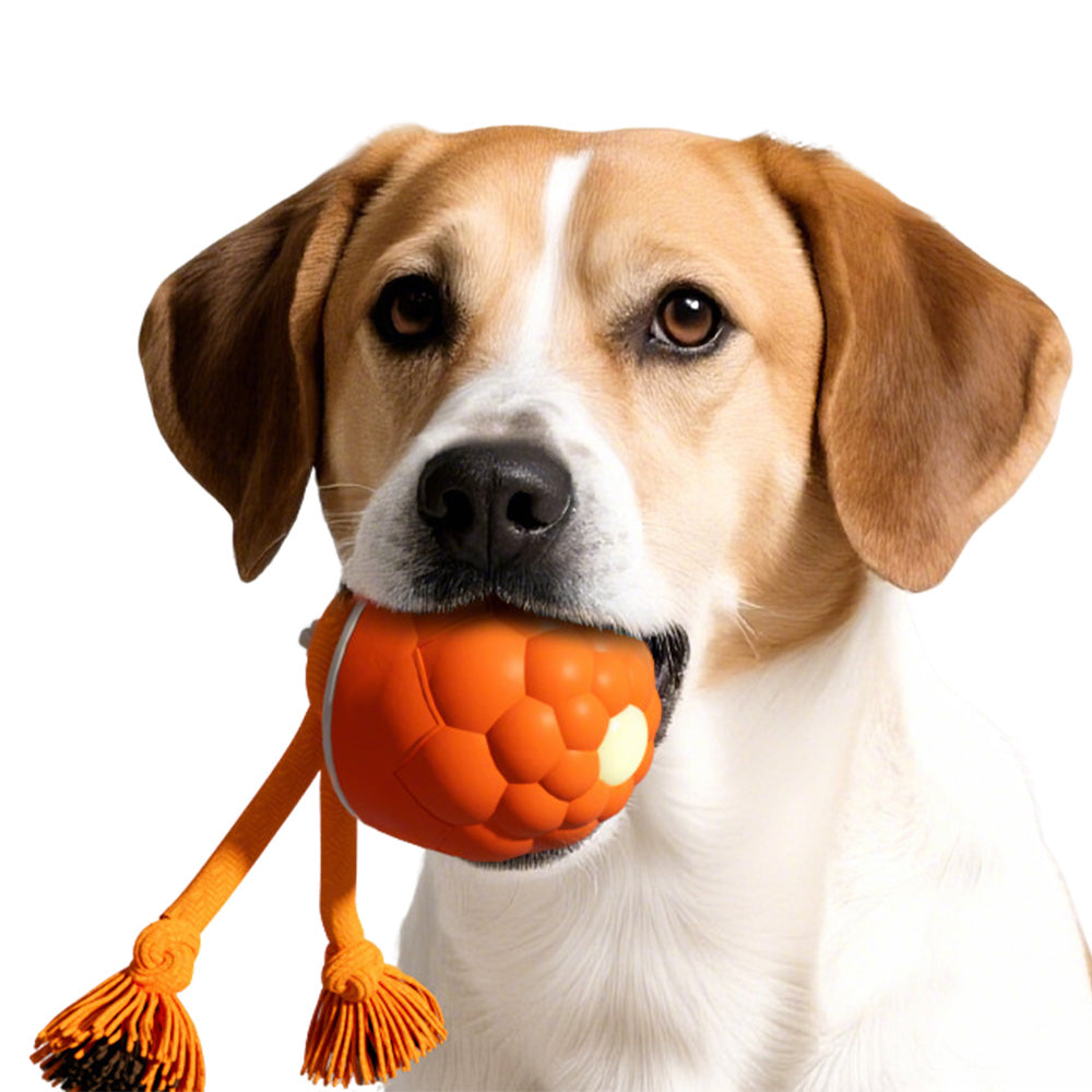 Interactive Dog Toys Touch Activated Bouncing And Jumping Dog Ball With Rope