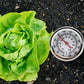 50cm Stainless Steel Long Stem Compost Ground Soil Thermometer-Minus 10 to 100 degrees Celsius