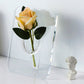 Clear Acrylic Photo Frame Shaped Flower Vase Picture Frame Vase