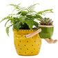2-In-1 Resin Flower Pot with Drainage Hole