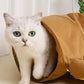 Cat Tunnel Bed for Indoor with Collapsible Washable Design