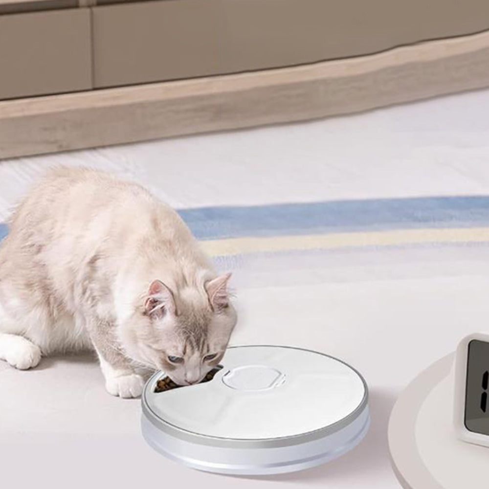 6 Meals Automatic Pet Feeder with Timer