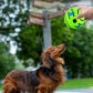Wobble Wag Giggle Dog Ball Interactive Dog Toy Ball