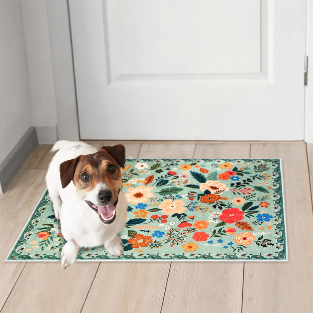 Washable Boho Floral Small Area Rug Indoor Entrance Door Mat