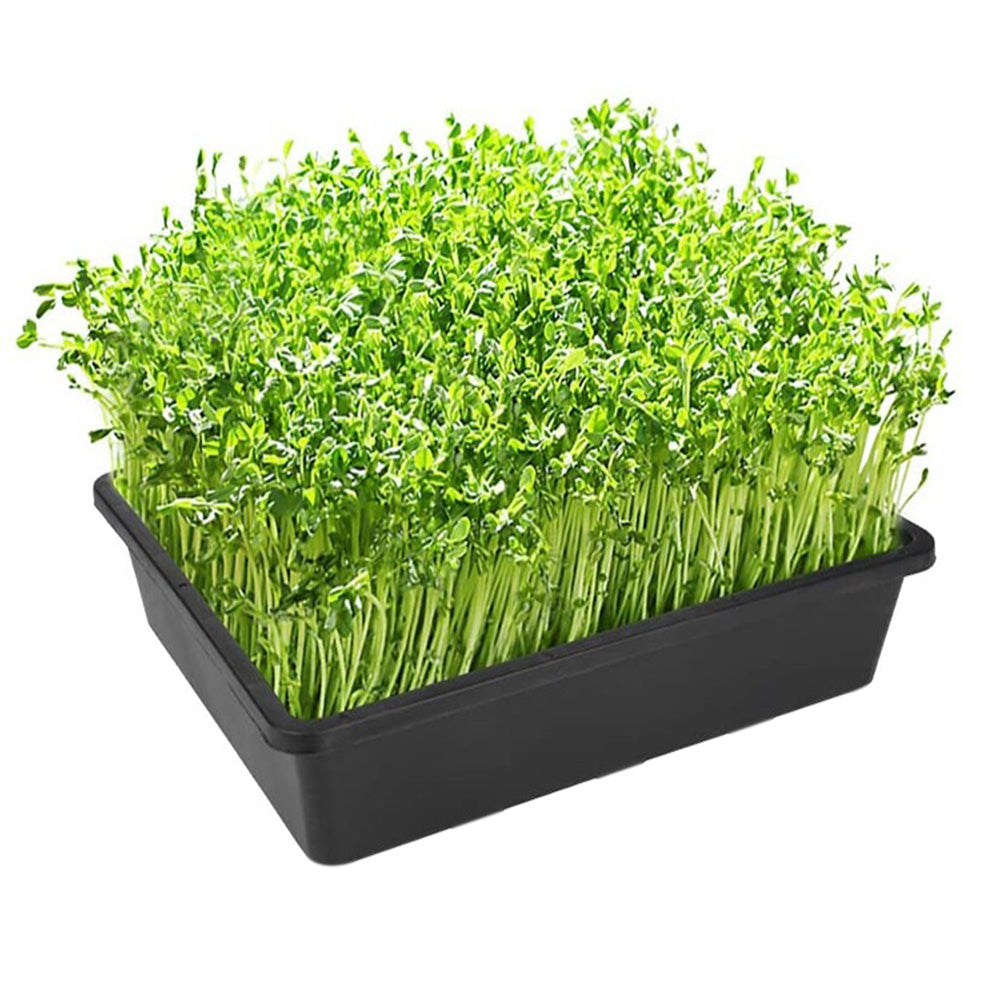 10 Pack Seedling Tray Fine Holes Plant Propagation Seedling Hydroponic Square
