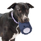 Tennis Tumble Puzzle Chew Toy for Pet Dog