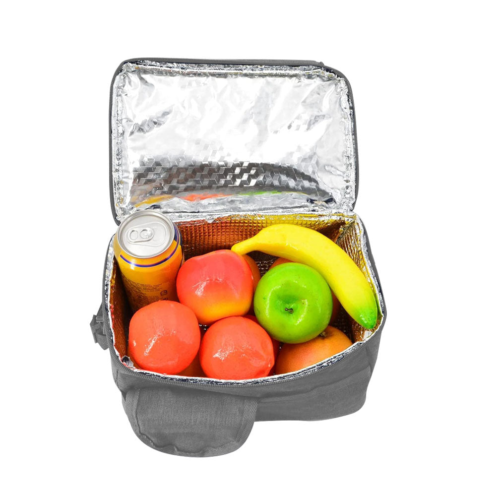 Insulated Lunch Bag Cooler Tote Bag with Shoulder Strap
