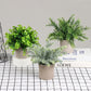 3Pcs Mini Potted Artificial Plastic Green Plants
