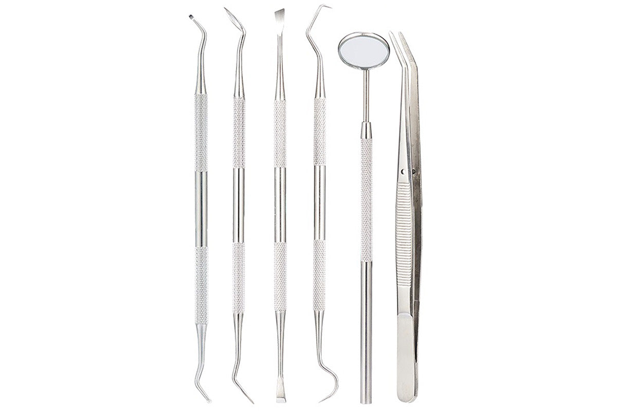 Professional Dental Tool Kit 6 Piece Stainless Steel Oral Care Set