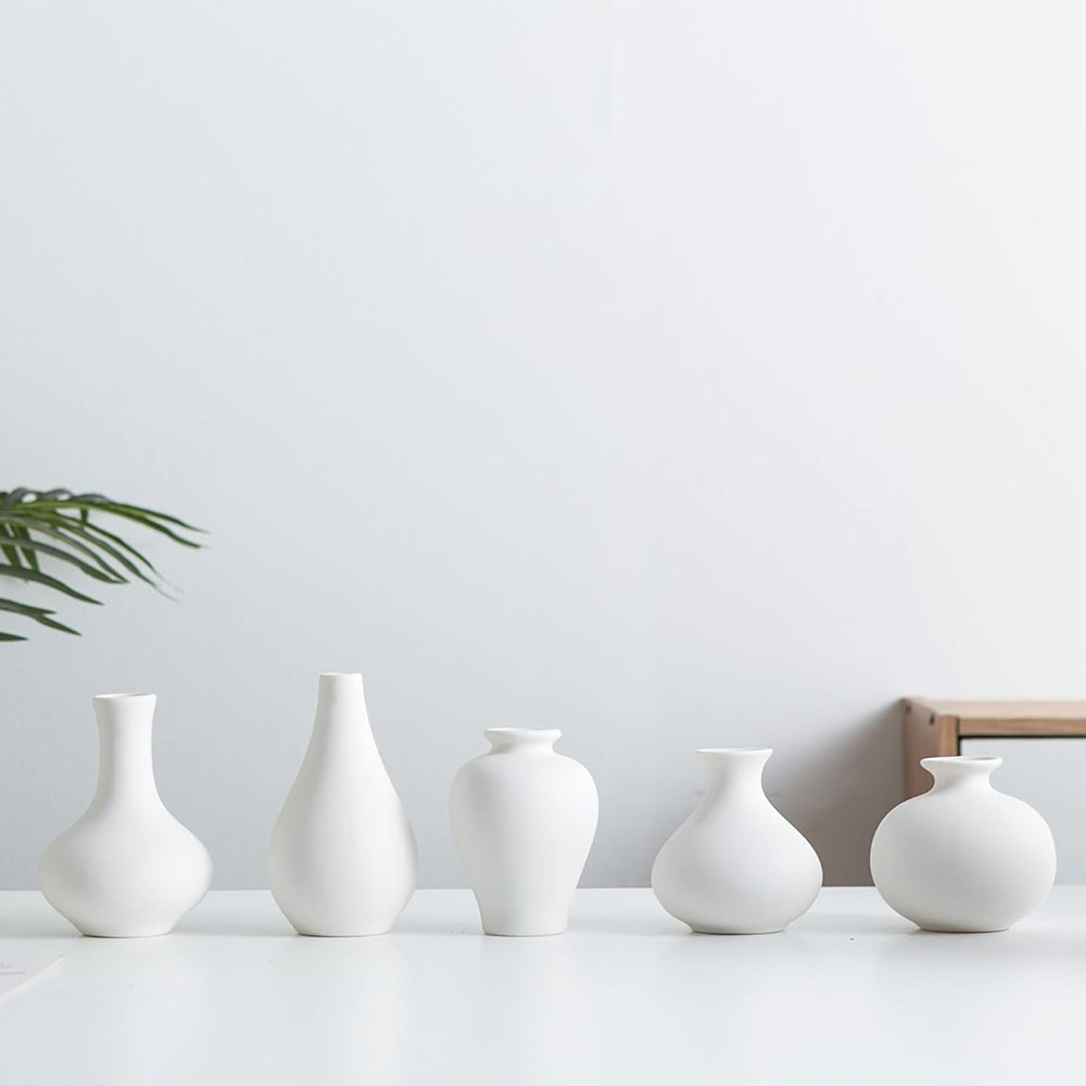 Set of 5 Small Ceramic Vases Modern Matte Bud Vase for Home Decor