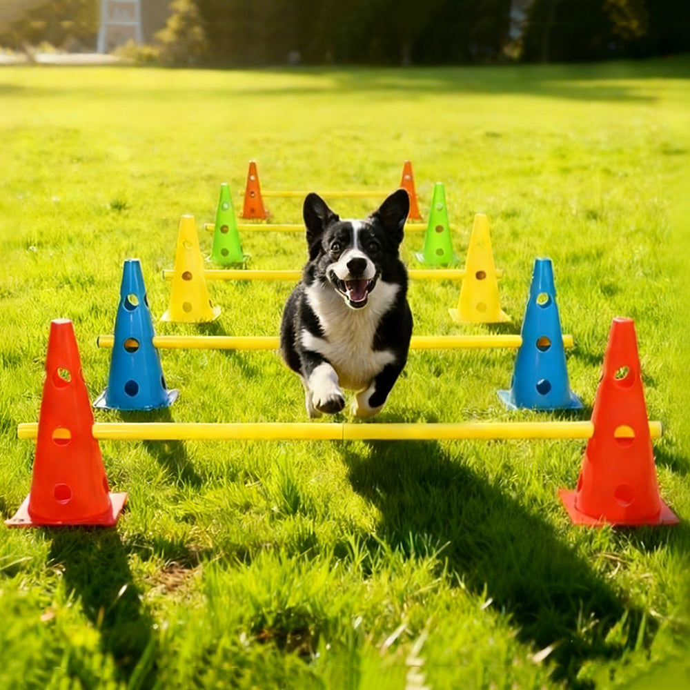 Dog Agility Training Set 10 Cones 5 Poles Adjustable Height Hurdle for Pets