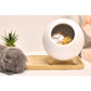 LED Cat Night Light for Bedroom Room Decoration Table Bedside Sleep Lamp