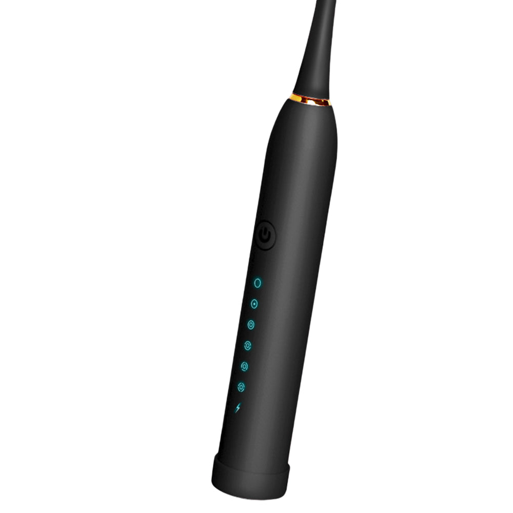 Electric Toothbrush with Four Heads