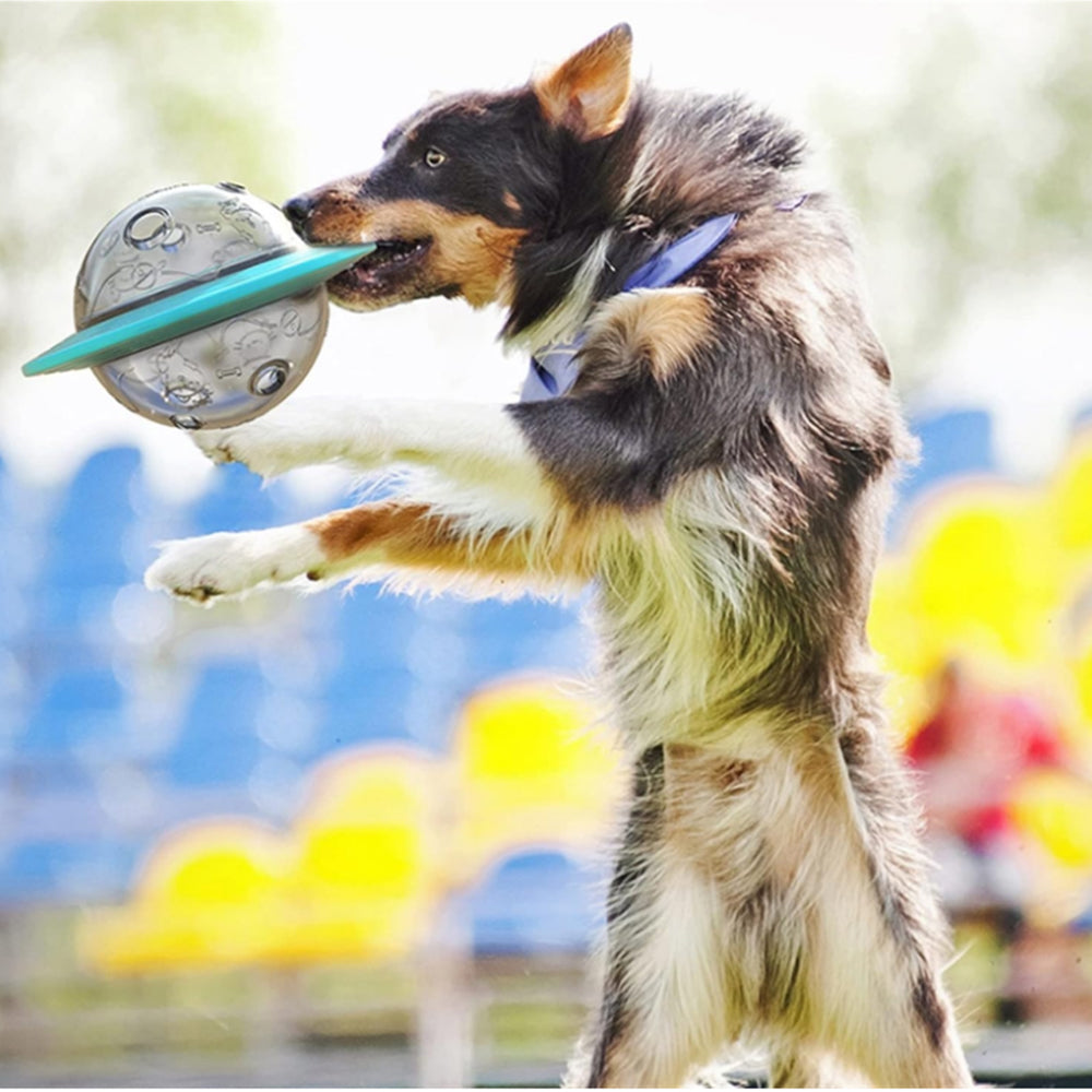 Pet Tumbler Ball Slow Feeder Interactive Toy