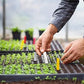 10 Pack Deep Cell Seed Starter Trays for Plant Nursery