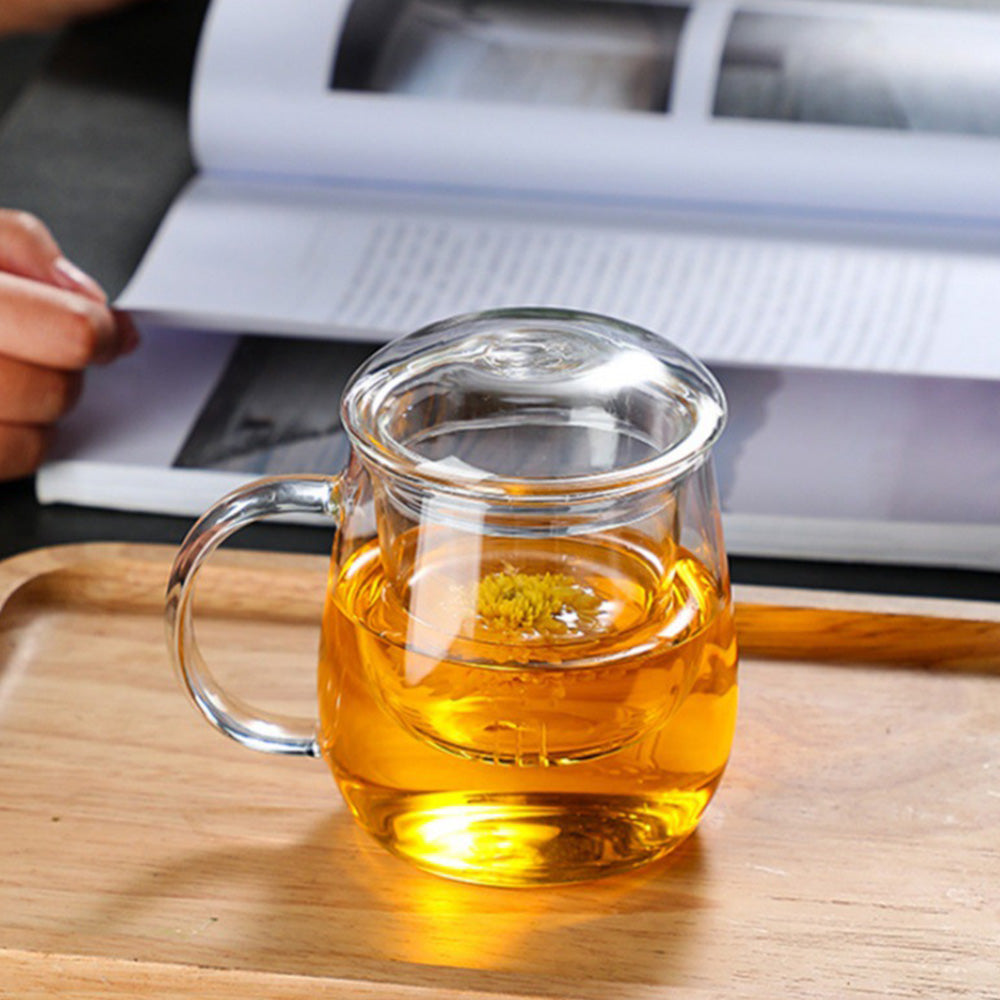 Glass Tea Cup with Infuser and Lid Borosilicate Tea Mug for Loose Leaf Tea