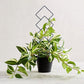 4Pcs Plant Climbing Trellis Metal Flower Plant Support Frame