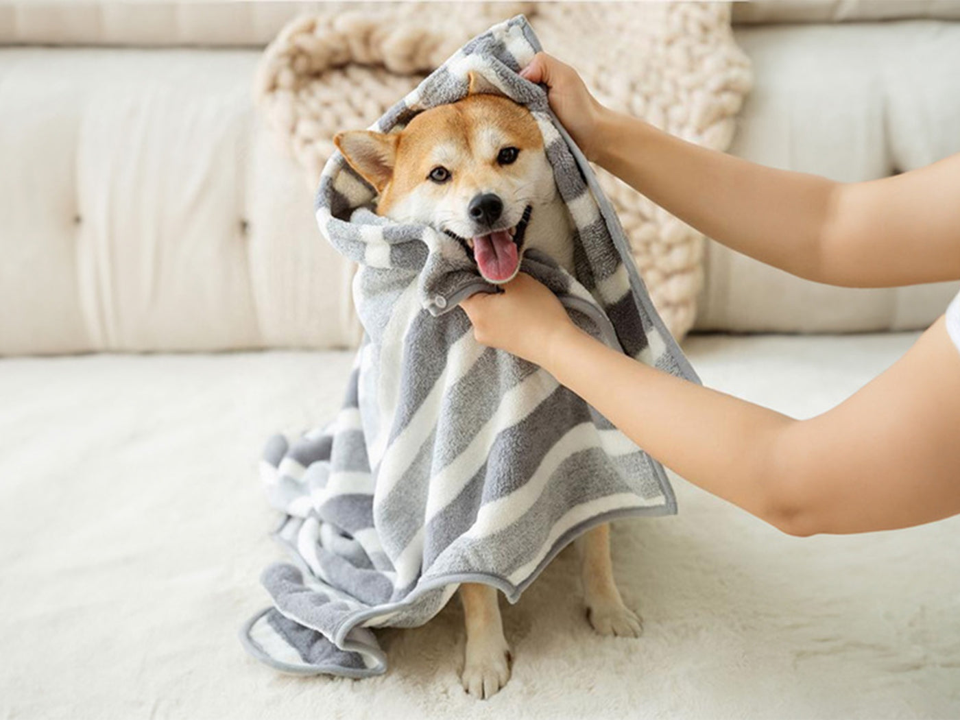 Fast Drying Absorbent Pet Bathrobe Towel