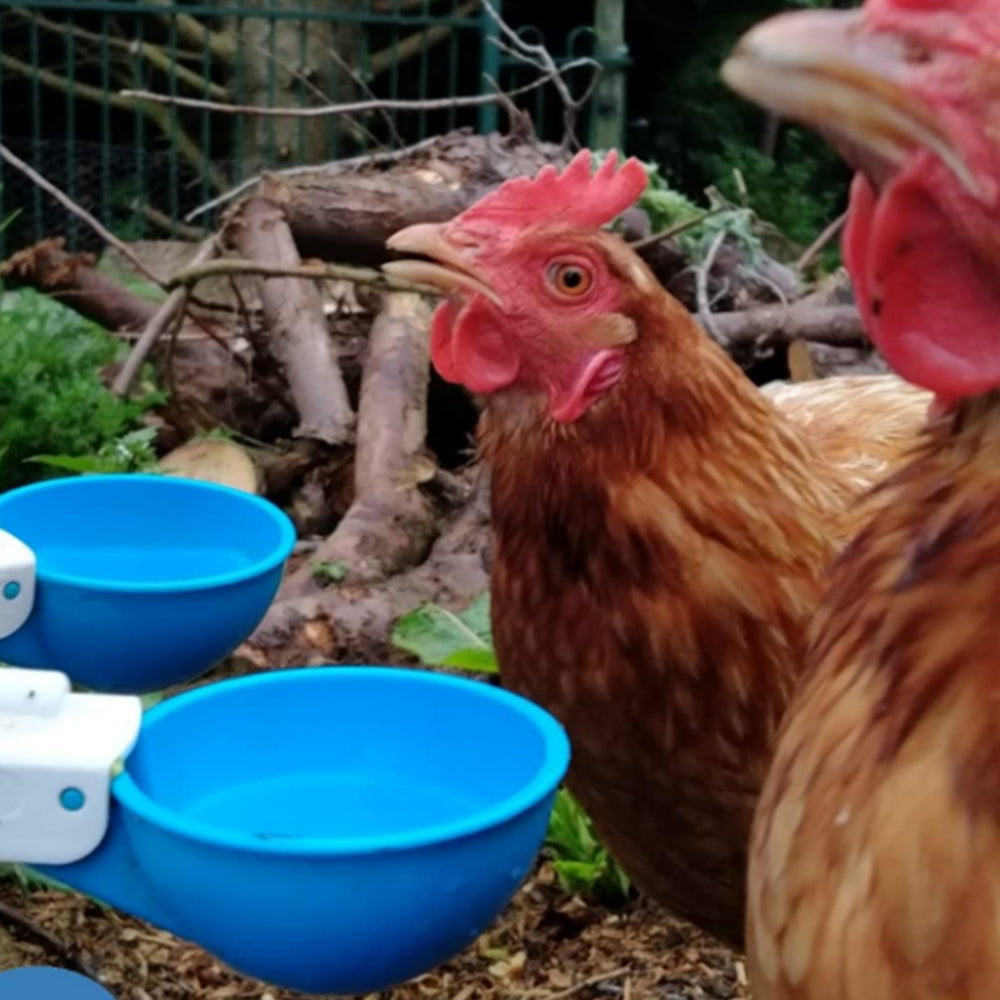 5Pcs Automatic Chicken Drinking Bowl Feeder