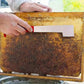 2 Pack Stainless Steel J Type Bee Hive Scraper Multi Functional Beekeeping Tool for Wax Propolis