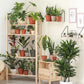 4Pcs Plant Trellis Metal Potted Houseplant Trellis Climbing Plants Support Stake