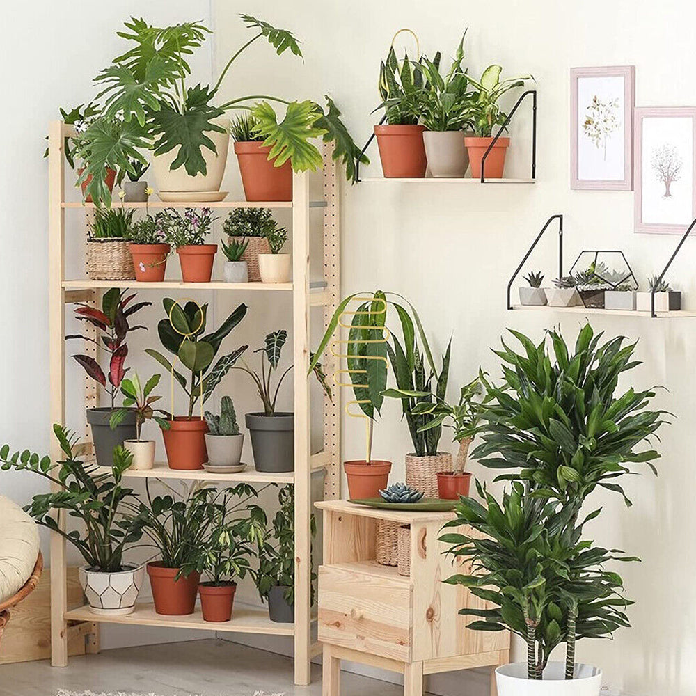 4Pcs Plant Trellis Metal Potted Houseplant Trellis Climbing Plants Support Stake