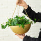 Set of 2 Iron Hanging Planter Pots