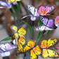 Solar Butterfly Garden Lights with 12 Stems for Outdoor Decor – IP65 Waterproof, Vibrant Illumination