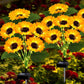 2 Pcs Solar Sunflower Lights for Outdoor Garden Patio Lawn Waterproof
