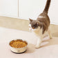 2L Stainless Steel Pet Feeding Bowl 25cm Non-Slip Dog Cat Food Water Bowl