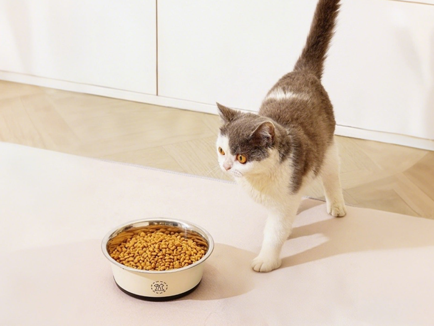 2L Stainless Steel Pet Feeding Bowl 25cm Non-Slip Dog Cat Food Water Bowl