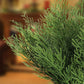 50Pcs Artificial Green Pine Needles Branches Plastic Pine Twigs Stems Picks