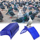 10 Pack Pigeon Dove Rest Stand Frame Dwelling Perches Roost Bird Supplies Set