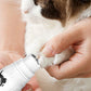 LED Display Pet Nail Grinder Dog Nail Trimmers With 3 Speeds For Small Large Dogs And Cats