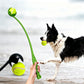 60cm Pet Dog Puppy Tennis Ball Launcher with Ball