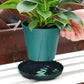 12Pcs Round Plastic Plant Saucers Durable Flower Pot Tray for Indoor Outdoor Garden