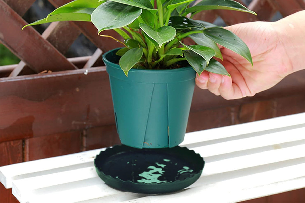 12Pcs Round Plastic Plant Saucers Durable Flower Pot Tray for Indoor Outdoor Garden