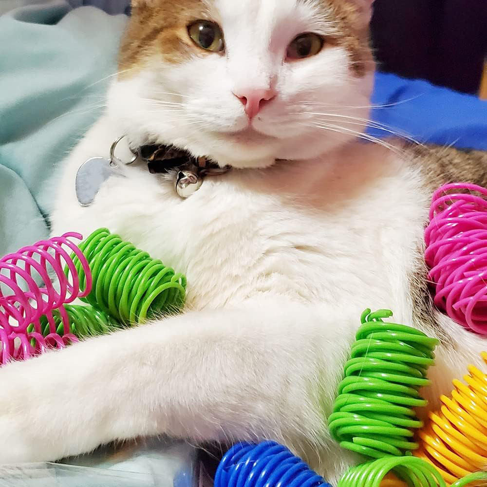 40Pcs Cat Kitten Spring Bouncy Toy Plastic Training Toys Colorful Coil Teasing Playing Cat Toy