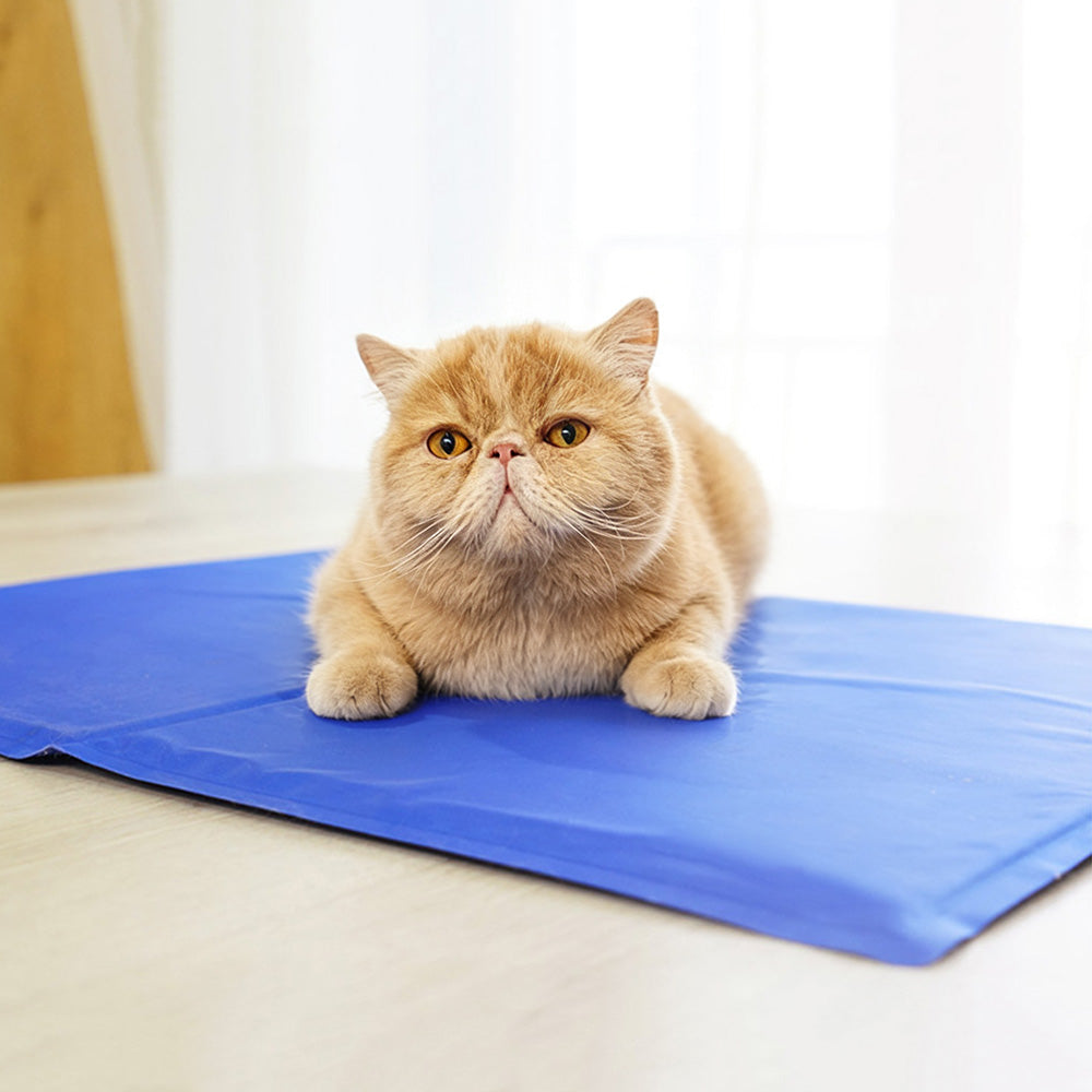 Blue Polyester Gel Cooling Sleeping Mat for Dogs Cats in 6 Sizes