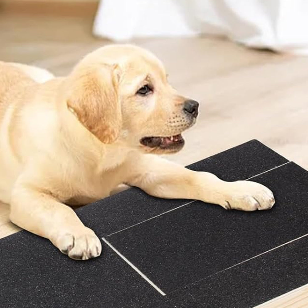 Dog Nails Scratch Pad for Dog Scratching Board with Treat Box Pet Nail Grinders