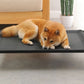 Heavy Duty Pet Raised Bed Elevated Trampoline Pet Bed Dog Mesh Hammock