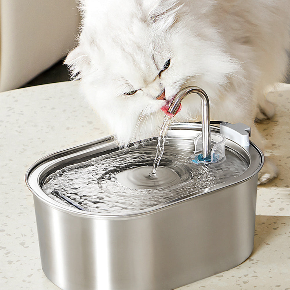 Electric Pet Water Dispenser Cat Dog Fountain 3L Drinking Automatic Sensor